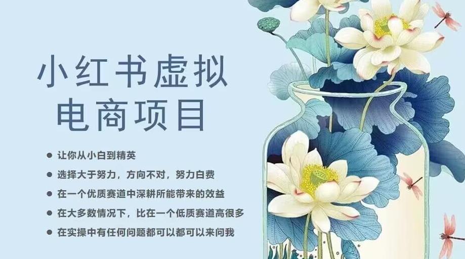 小红书虚拟电商从0到1,让你从小白到精英(20节实操课程) 小红书虚拟电商从0到1,让你从小白到精英(20节实操课程)