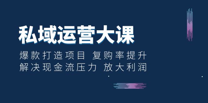 (6455期)私域运营大课:爆款打造项目 复购率提升 解决现金流压力 放大利润 (6455期)私域运营大课:爆款打造项目 复购率提升 解决现金流压力 放大利润