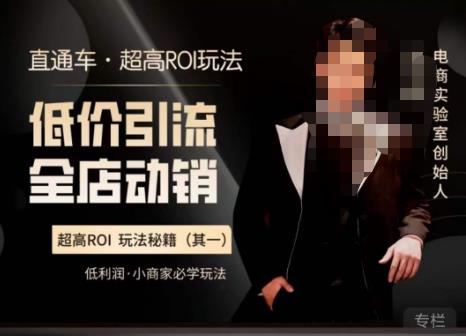 电商冰可乐·直通车·《低价引流·全店动销》,直通车·超高ROI玩法(其一)全店动销必学玩法