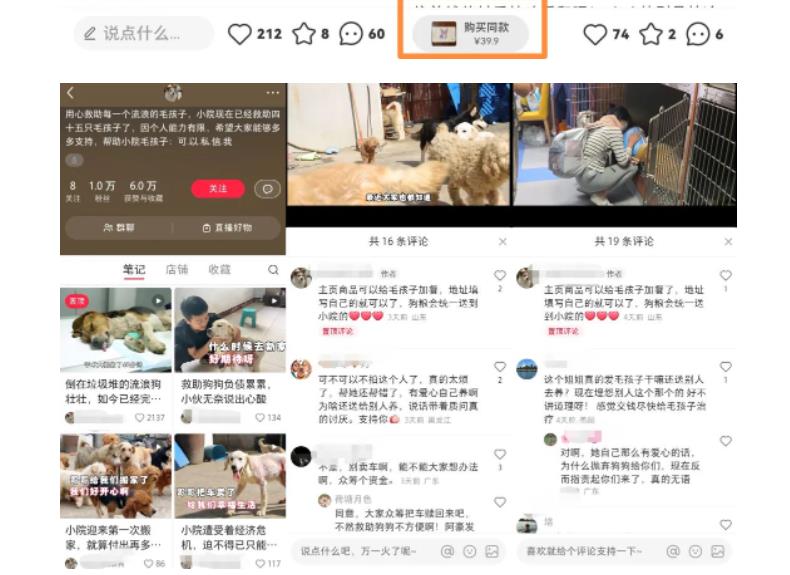小红书蓝海类赛道:小动物打赏与购买变现副业项目,一条龙玩法分享给你!