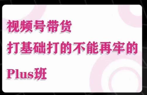 大播汇·视频号带货Puls班,视频号底层逻辑,起号自然流鱼塘等玩法