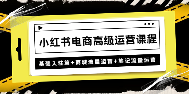 （4638期）小红书电商高级运营课程：基础入驻篇+商城流量运营+笔记流量运营-888资源网