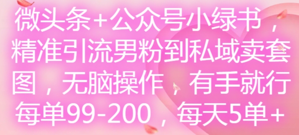 微头条+公众号小绿书，精准引流男粉到私域卖套图，无脑操作，有手就行，每单99-200，每天5单-888资源网