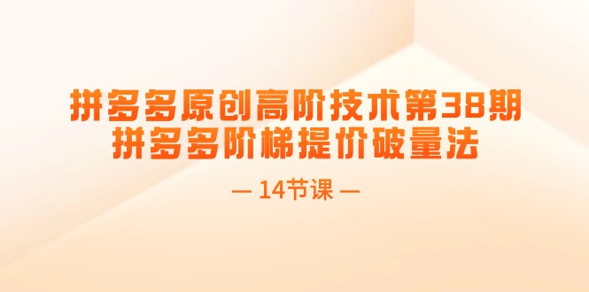 拼多多原创高阶技术第38期，拼多多阶梯提价破量法（14节课）-888资源网
