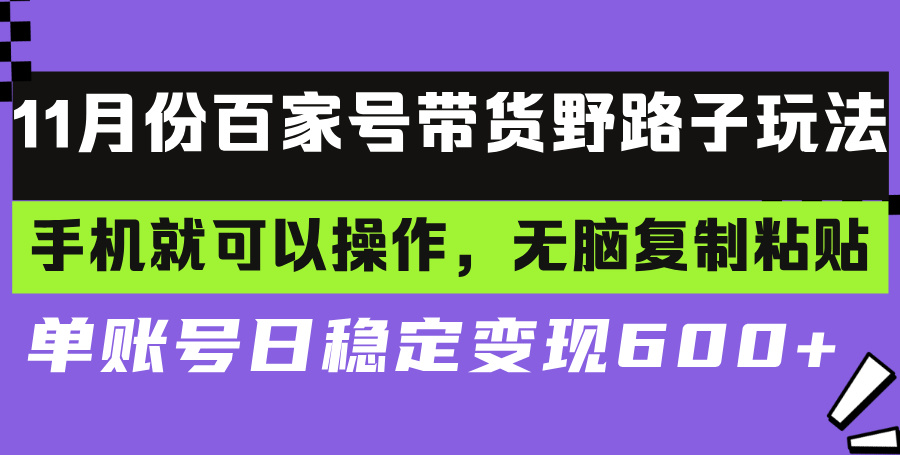 （13281期）百家号带货野路子玩法 手机就可以操作，无脑复制粘贴 单账号日稳定变现…-888资源网