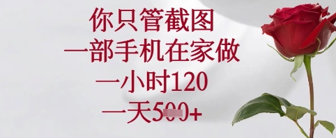 你只管截图，一部手机在家可以做，一小时120.一天5张+-888资源网