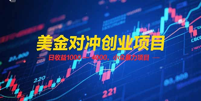 （15187期）美金对冲创业项目，日收益 1000 – 4000，小众暴力项目-888资源网