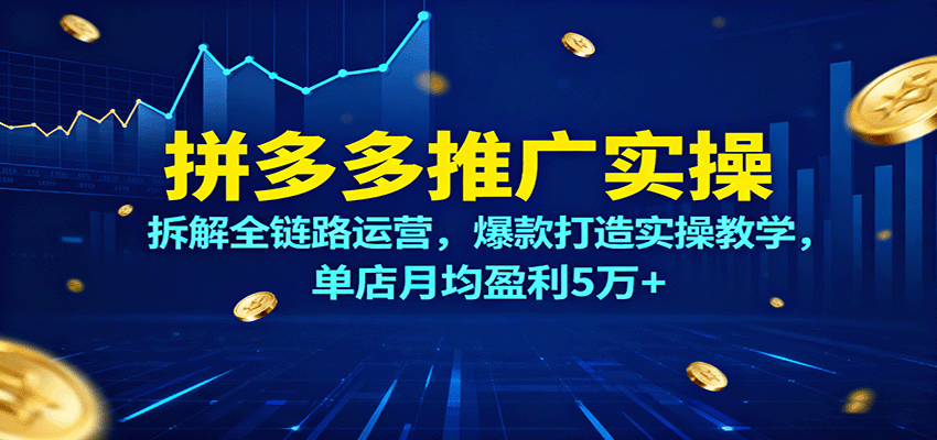 拼多多推广实操，拆解全链路运营，爆款打造实操教学，单店月均盈利5万+