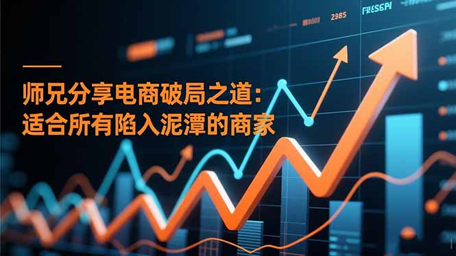 （16578期）师兄分享电商破局之道：适合所有陷入泥潭的商家