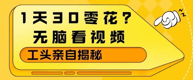 1天30零花？无脑看视频，大佬亲自揭秘