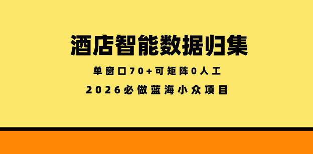 酒店智能数据归集，小众蓝海已经稳定半年之久，单窗口70+零成本矩阵开干