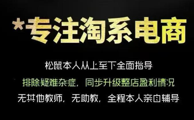 松鼠会电商VIP课程,从基础布局到高阶优化,助你掌握淘宝运营逻辑,提升店铺流量与转化(更新0809)