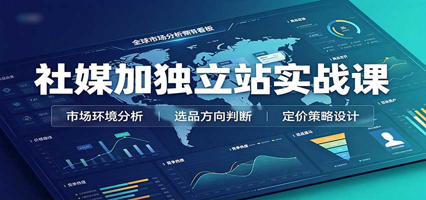 社媒加独立站实战课:市场环境选品定价,社媒运营建站,私域网红营销教学